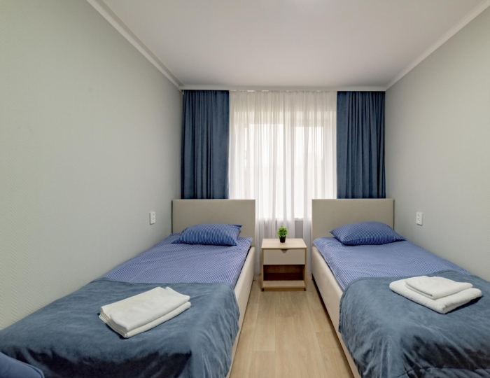 Номер эконом с 2 односпальными кроватями Мелихово - Отель «Антонпалыч» Чехов