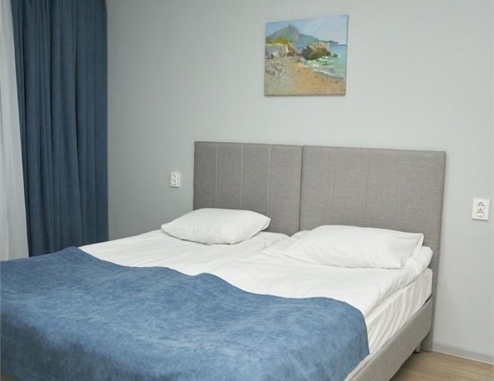 Номер эконом с 2 односпальными кроватями Сахалин - Отель «Антонпалыч» Чехов