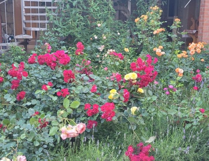 Гостевой дом «Друзья» Геленджик