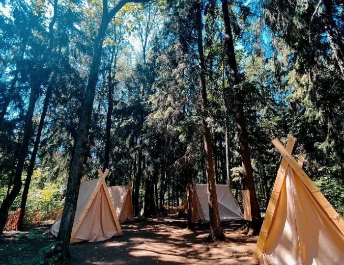 Отель «Михайловское» Михайловское