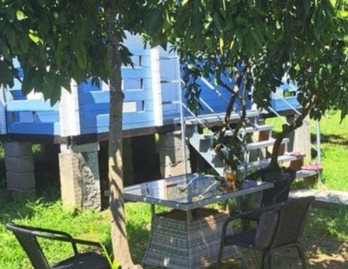 База отдыха «Мария» Сухум