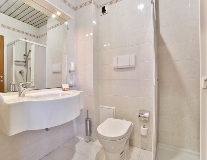 1-местный номер стандарт (с завтраком) - Гостиница «Стойлянка» Старый Оскол