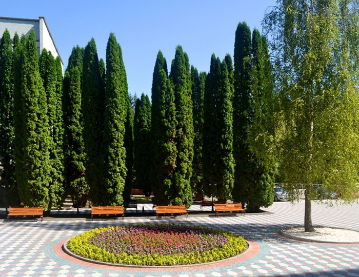 Санаторий «Родник» Кисловодск