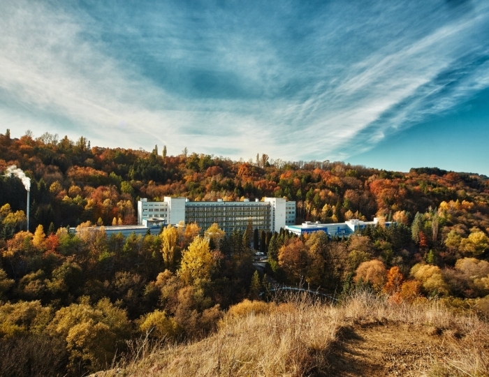 Санаторий «Родник» Кисловодск
