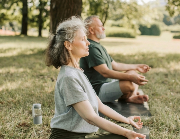 Премиум - Санаторий «Родник» Кисловодск