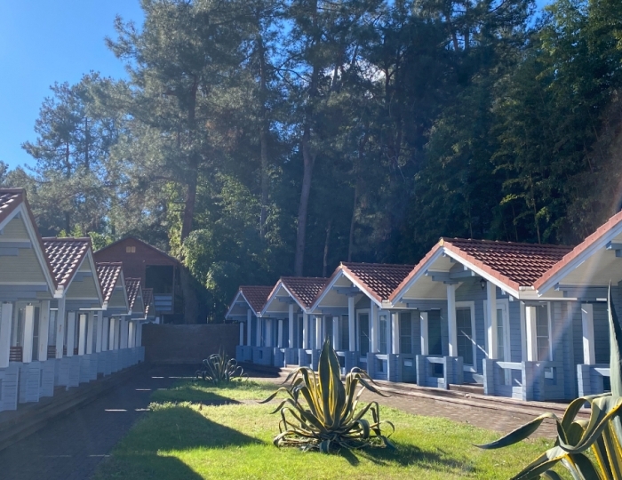 Гостевой дом «Ласточка Роща» Пицунда