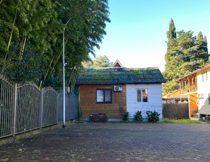 Гостевой дом «Ласточка Роща» Пицунда