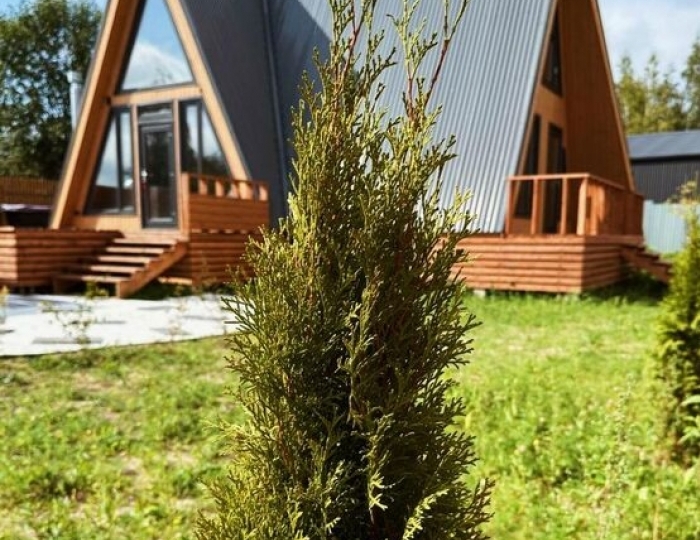 База отдыха «А-Фрейм Фэмили» Коломна