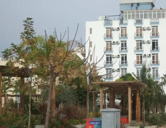 Suntalia Hotel 3 звезды, Коньяалты, Турция