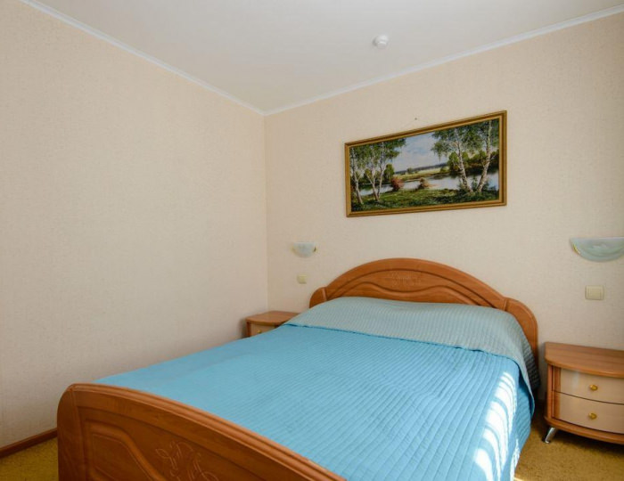 Номер студия с 1 двуспальной кроватью (с завтраком) - Гостиница «Баваренок» Белокуриха