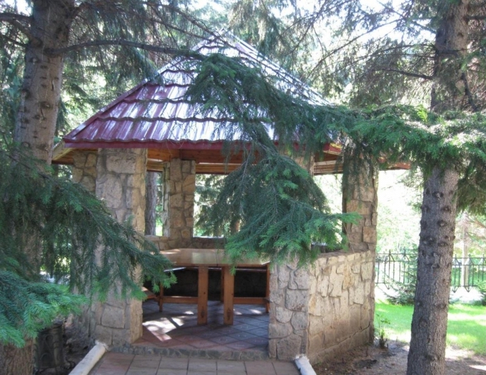 Пансионат «Старые друзья» Белокуриха