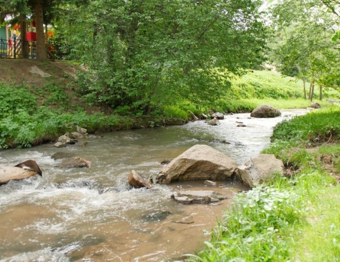 Пансионат «Старые друзья» Белокуриха