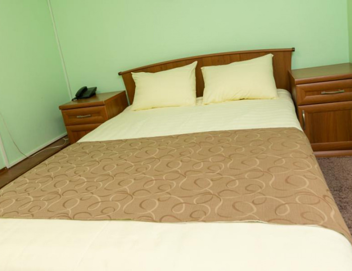 Номер стандарт с 1 двуспальной кроватью №102, 203 - Пансионат «Старые друзья» Белокуриха