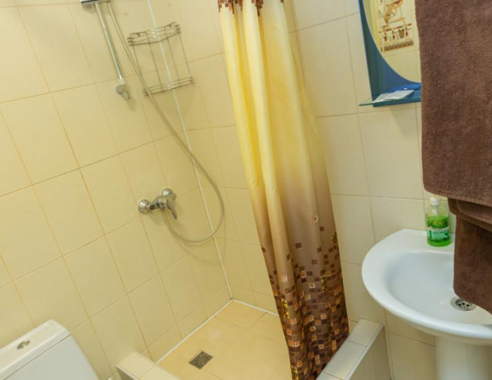 Номер стандарт с 1 двуспальной кроватью №102, 203 - Пансионат «Старые друзья» Белокуриха