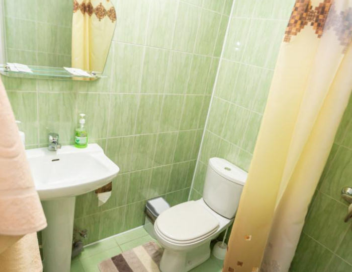 Номер эконом с 1 двуспальной кроватью №1-9 - Пансионат «Старые друзья» Белокуриха