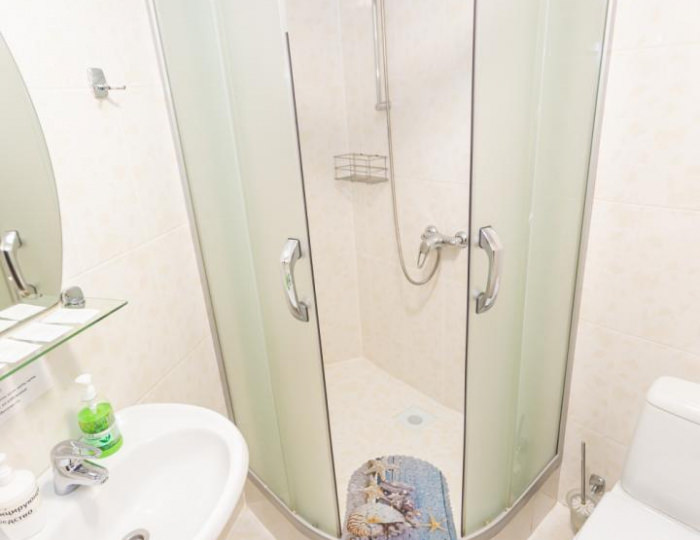 Номер эконом с 1 двуспальной кроватью №11 - Пансионат «Старые друзья» Белокуриха