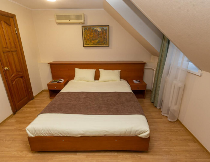 Номер стандарт с 1 двуспальной кроватью №103, 201,301,303,305 - Пансионат «Старые друзья» Белокуриха