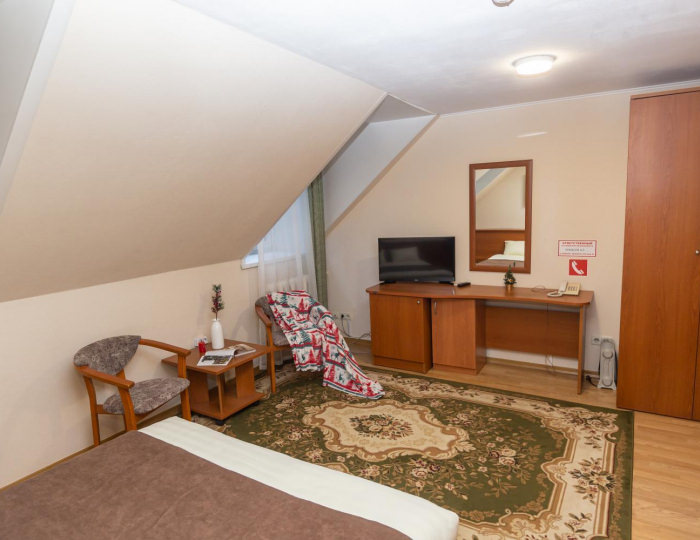 Номер стандарт с 1 двуспальной кроватью №103, 201,301,303,305 - Пансионат «Старые друзья» Белокуриха