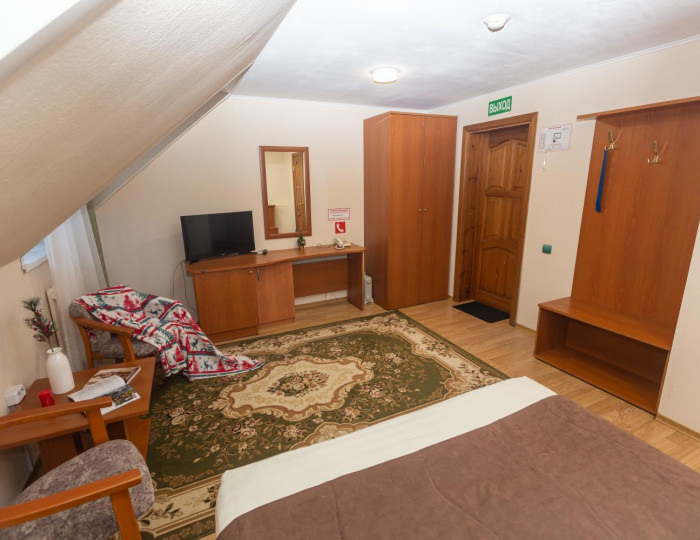 Номер стандарт с 1 двуспальной кроватью №103, 201,301,303,305 - Пансионат «Старые друзья» Белокуриха