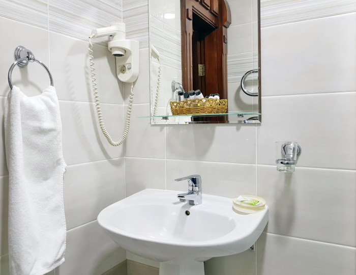 Номер стандарт с 1 двуспальной кроватью - Мини-отель «Беркут» Белокуриха