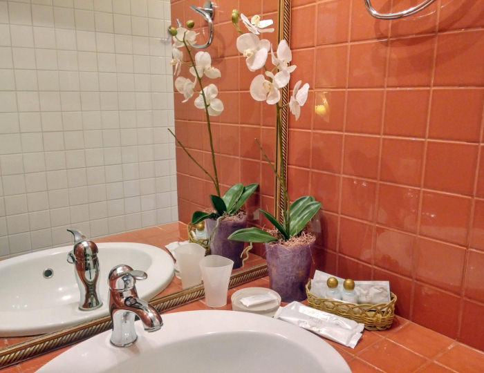 Номер люкс - Мини-отель «Беркут» Белокуриха