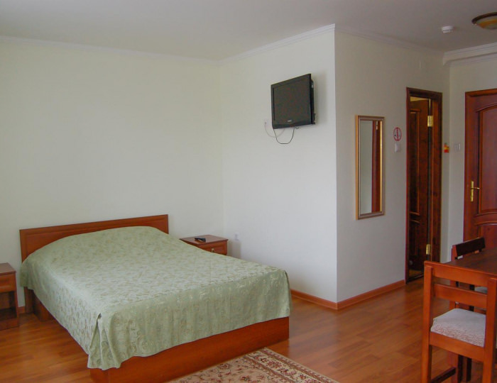 Номер стандарт с 1 двуспальной кроватью - Мини-отель «Гарант» Белокуриха