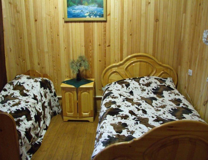 Номер эконом с 2 односпальными кроватями - Гостевой дом «Алтайский центр ездового спорта»