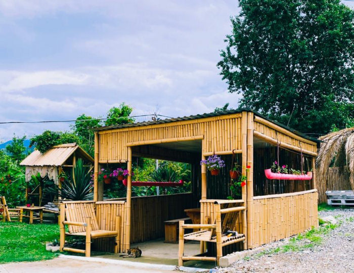 Гостевой дом «Пальмовая роща» Цандрипш