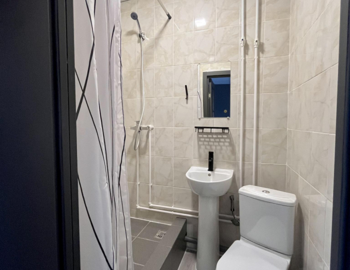 Номер стандарт с 1 двуспальной кроватью - Отель «Трест» Заринск