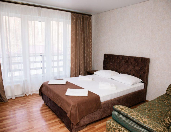 Номер стандарт с 1 двуспальной кроватью - Гостиница Green House / Грин Хаус Хамышки