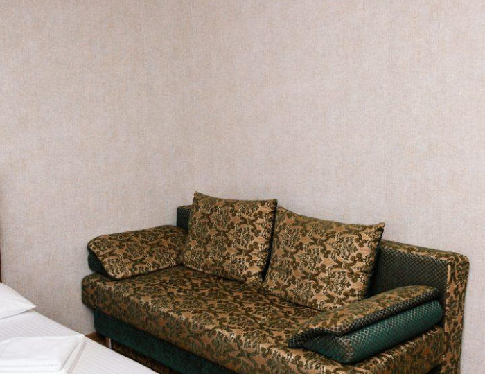 Номер стандарт с 1 двуспальной кроватью - Гостиница Green House / Грин Хаус Хамышки