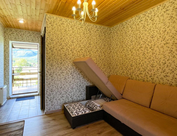 Номер эконом с диваном - Гостевой дом «Насып» Хамышки