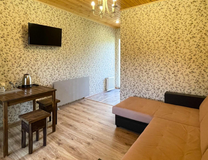 Номер эконом с диваном - Гостевой дом «Насып» Хамышки