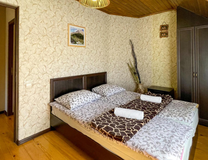 Коттедж улучшенный - Гостевой дом «Насып» Хамышки