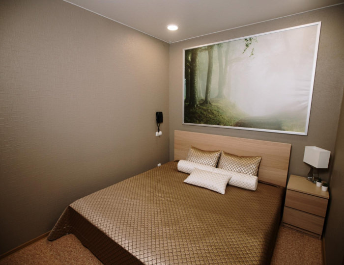 2-комнатный номер люкс с 1 двуспальной кроватью - Мини-отель «Причал» Яровое