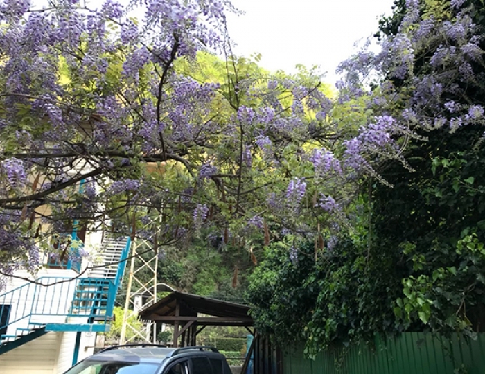 Гостевой дом «Домик в ущелье» Гагра