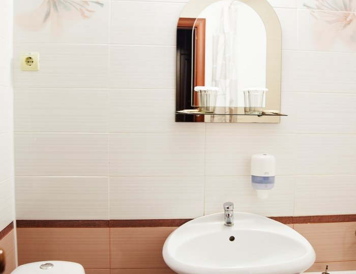 Стандарт - Санаторий «им. Кирова» Пятигорск