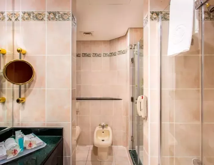 Mövenpick Grand Al Bustan 5 звезд, Дубай, ОАЭ