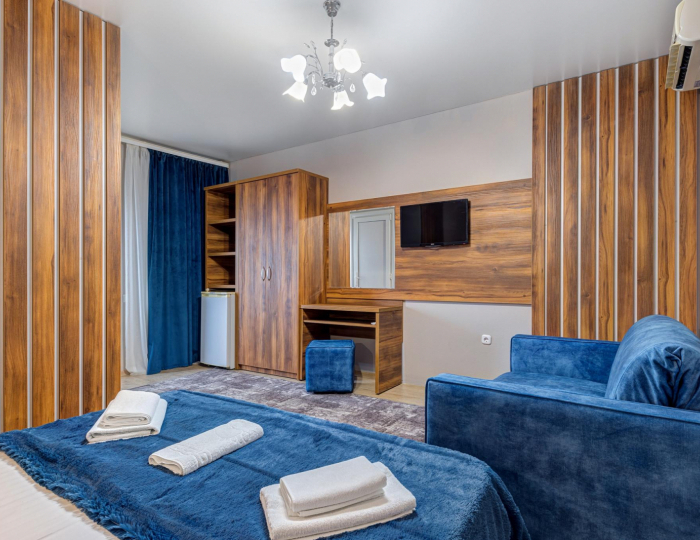 3-местный номер стандарт с 1 двуспальной кроватью и диваном - Гостевой дом «Яна» Геленджик