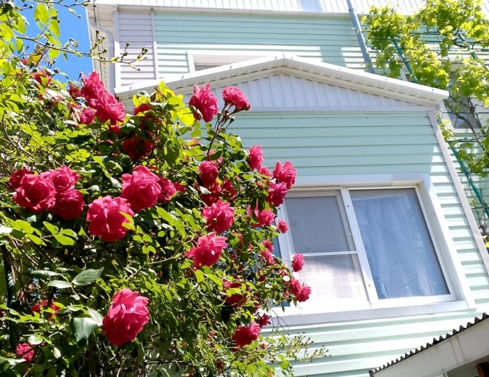 Гостевой дом «У Елены» Геленджик