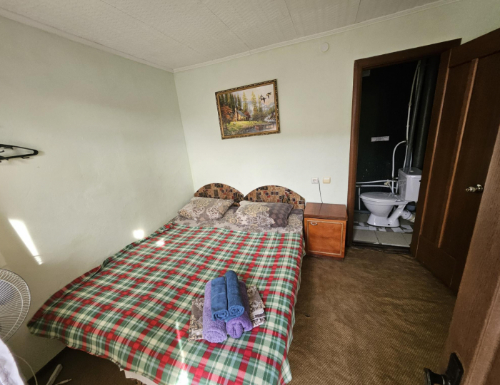 Комната стандарт с 1 двуспальной кроватью - Гостевой дом «Дубрава» Архипо-Осиповка