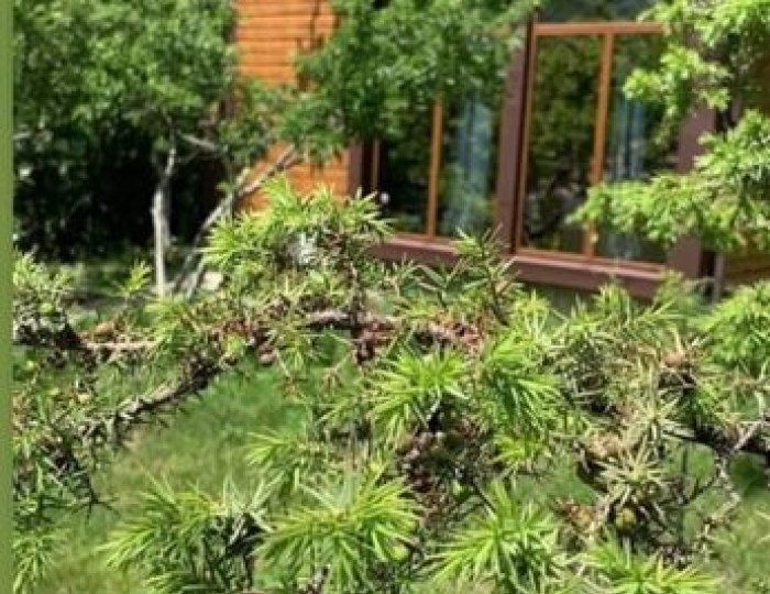 Гостевой дом «Бельбек» Многоречье