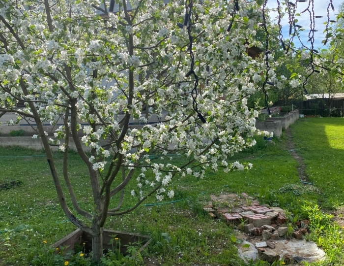 Гостевой дом «Баня Мишуткино»