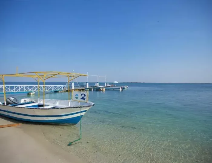 Flamingo Beach Resort Bin Majid 3 звезды, эмират Умм Аль Кувейн, ОАЭ