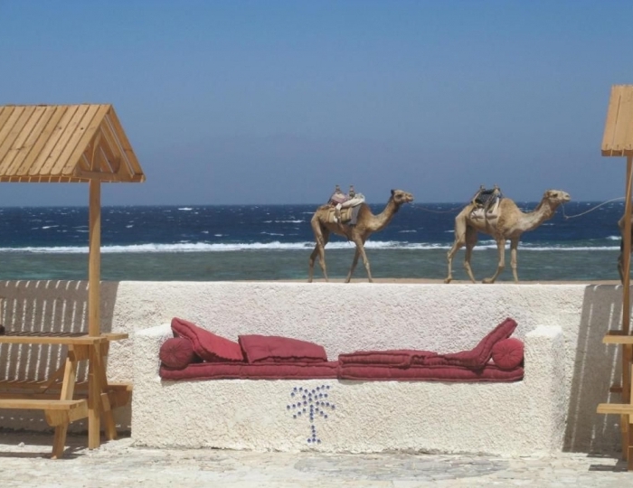 The Daniela Village & Diving center 3 звезды, Дахаб, Египет