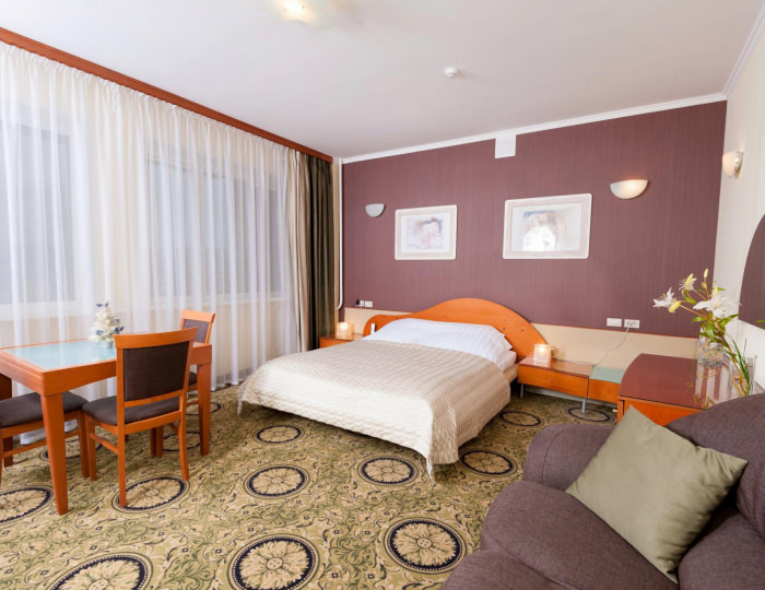 Номер люкс №301 (с полупансионом) - Гостиница «Для Вас» Пенза