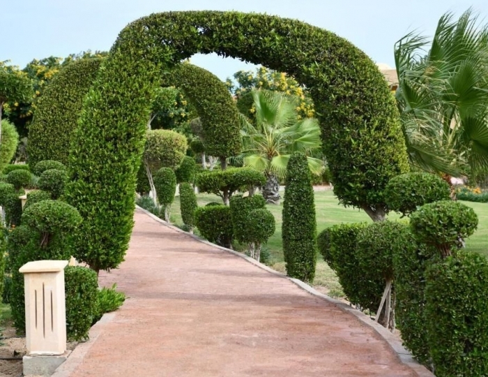 Wadi Lahmy Azur Resort 4 звезды, Абу-Хусун, Египет