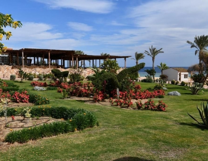 Wadi Lahmy Azur Resort 4 звезды, Абу-Хусун, Египет