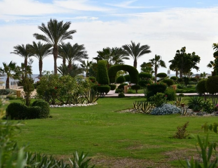 Wadi Lahmy Azur Resort 4 звезды, Абу-Хусун, Египет