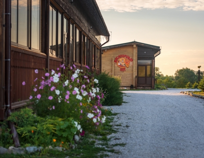 Мини-отель «Золото Алтая» Новотырышкино